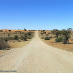 Kalahari, Sudafrica. Author and Copyright Marco Ramerini