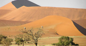 Deserto del Namib, Namib-Naukluft, Namibia. Author and Copyright Marco Ramerini