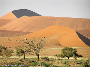 Deserto del Namib, Namib-Naukluft, Namibia. Author and Copyright Marco Ramerini