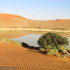 Sossusvlei, Deserto del Namib, Namib-Naukluft, Namibia. Author and Copyright Marco Ramerini