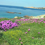 Isola Rossa, Sardegna, Italia. Author and Copyright Marco Ramerini