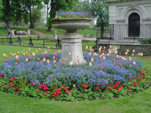 Kensington Gardens, Londra.. Author and Copyright Niccolò di Lalla