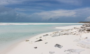Banchi di sabbia, Sandy Cay, Exumas, Bahamas. Autore e Copyright Marco Ramerini.