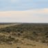 Il paesaggio semi-desertico della Penisola Valdés, Argentina. Autore e Copyright Marco Ramerini